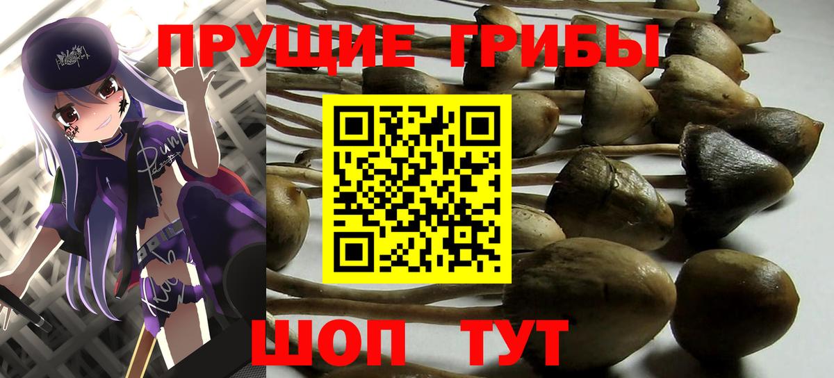 Псилоцибиновые грибы Magic Shrooms Людиново
